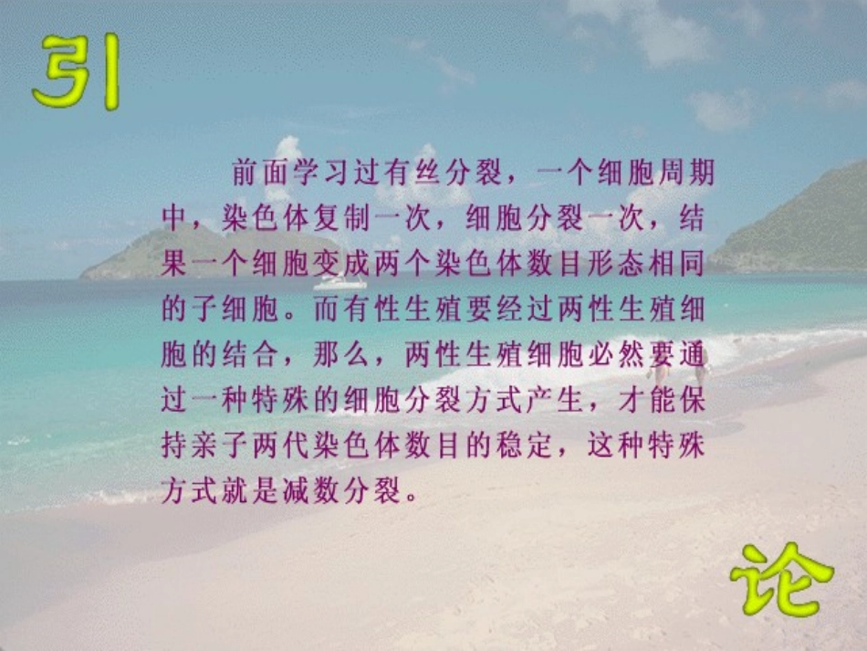 减数分裂课件高中生物教学课件PPT课件_第2页