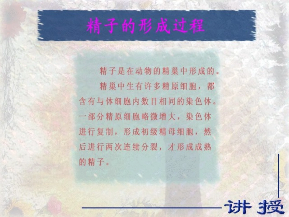 减数分裂课件高中生物教学课件PPT课件_第3页