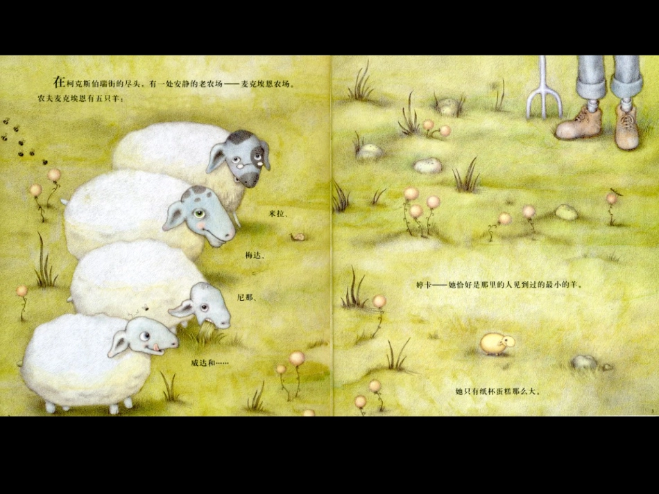 绘本《婷卡》_第3页