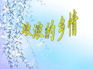 浓浓的乡情课件PPT