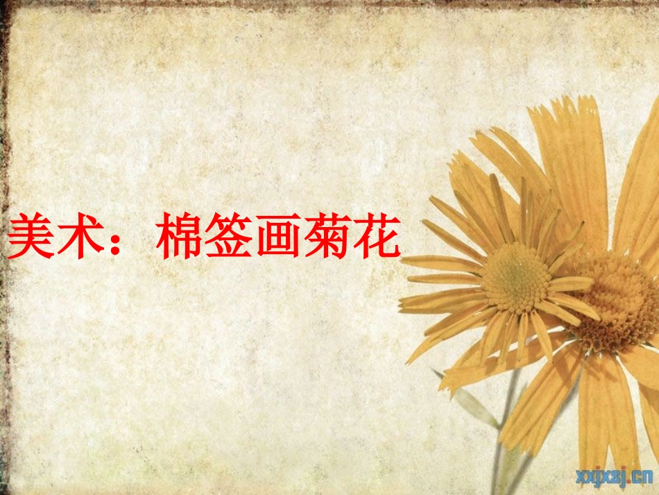 美术：棉签画菊花_第1页