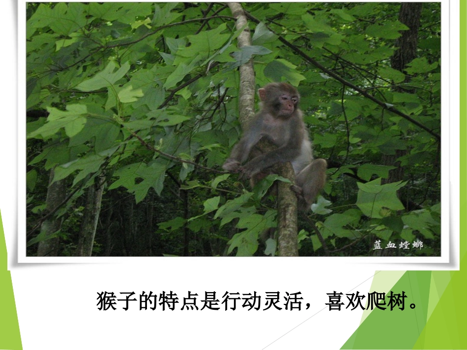 从现在开始课件刘涛_第3页