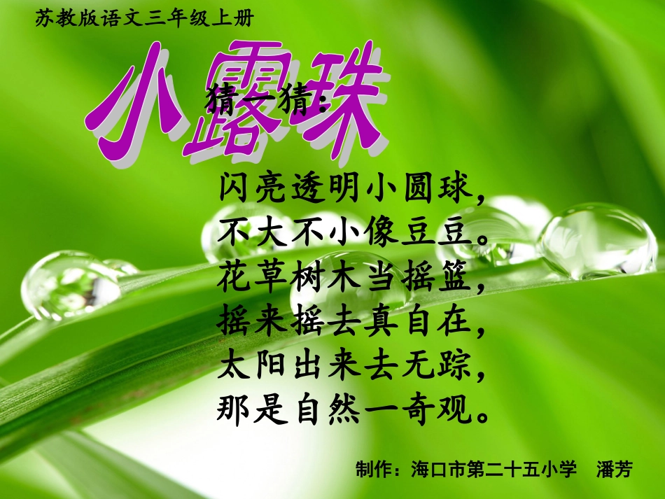 小露珠教学课件——潘芳_第1页