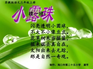 小露珠教学课件——潘芳