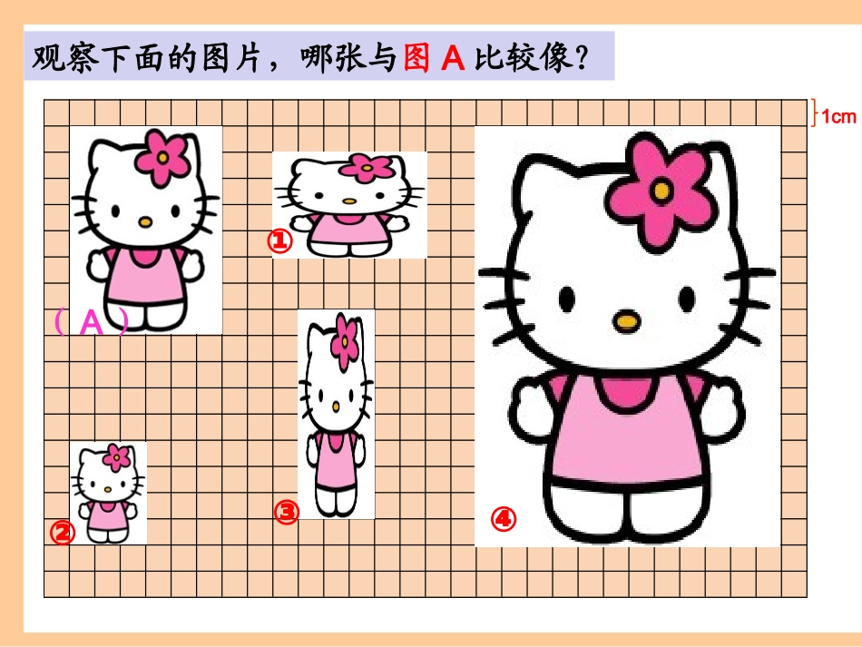 比的基本性质定稿_第2页