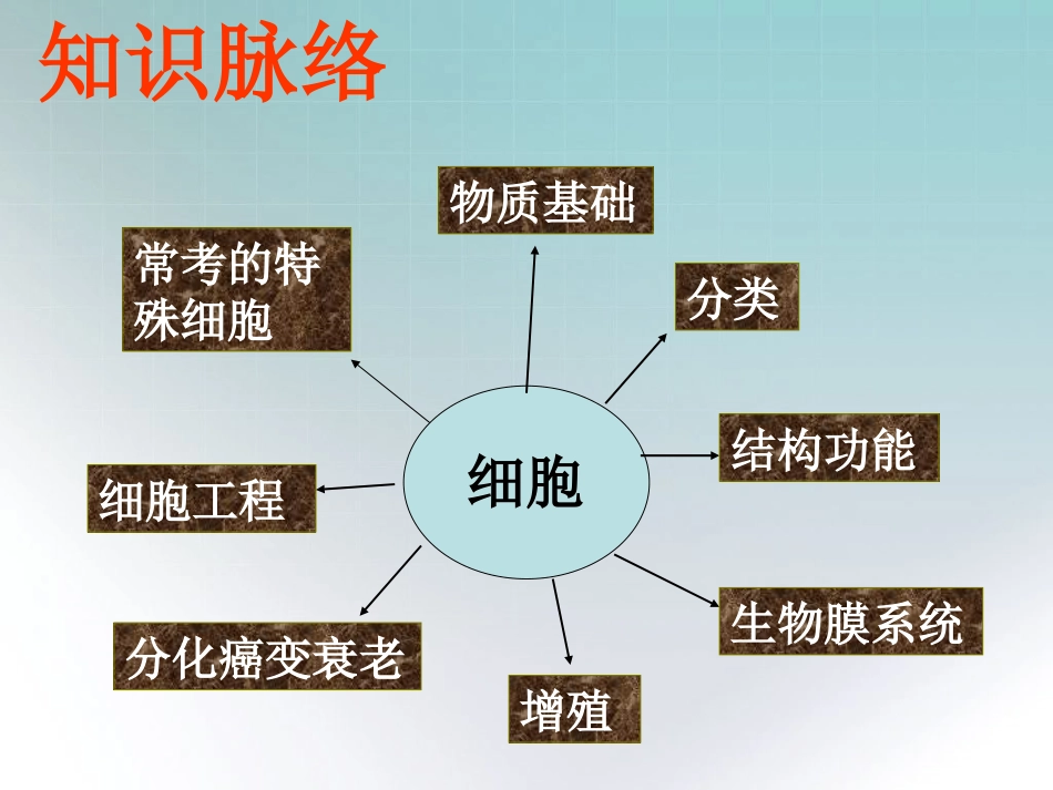 专题一、细胞_第2页