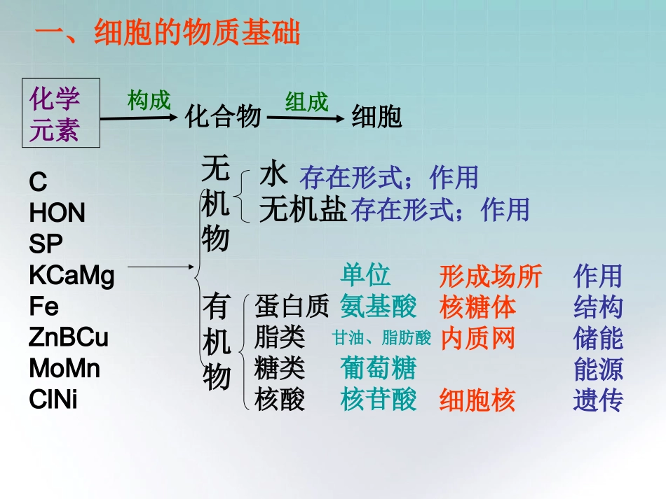 专题一、细胞_第3页