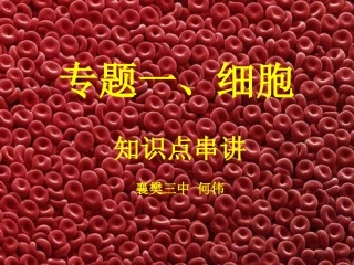 专题一、细胞