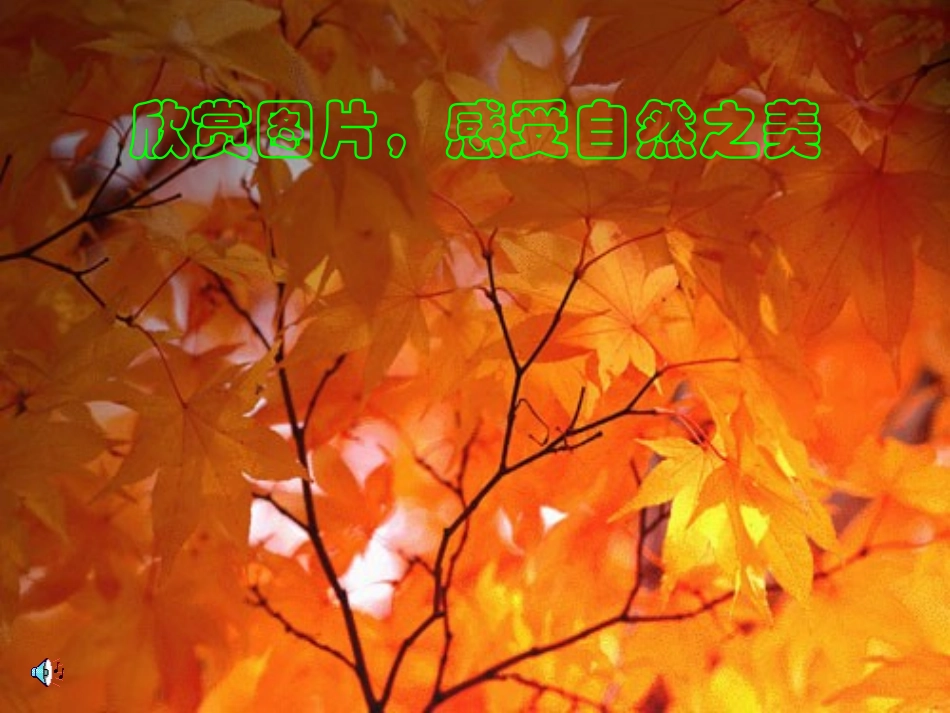 《秋天》课件—初一上期语文_第2页