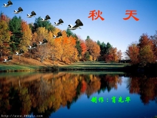 《秋天》课件—初一上期语文