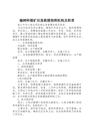 榆树岭煤矿应急救援指挥机构及职责