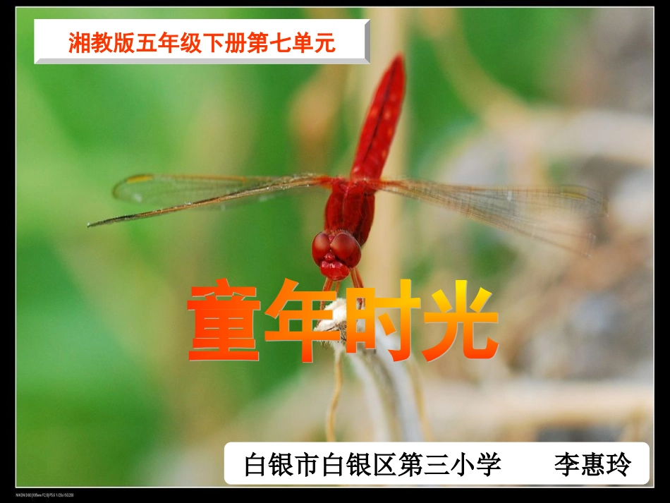 五年级上册《红蜻蜓》_第2页