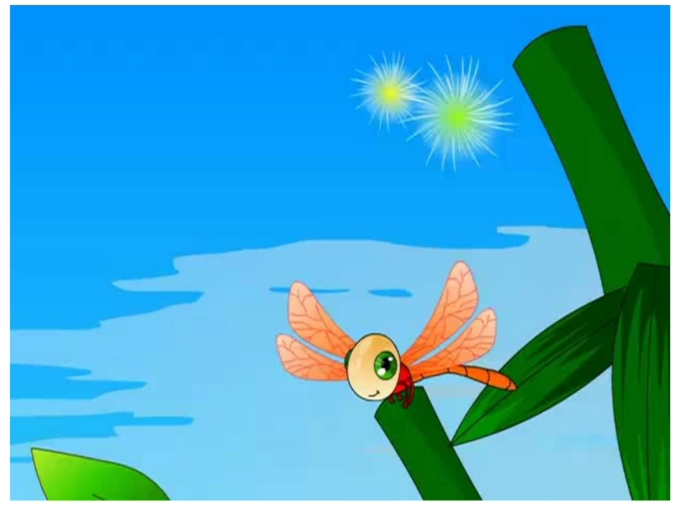 五年级上册《红蜻蜓》_第3页