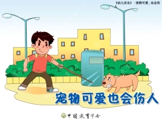 安全与宠物接触