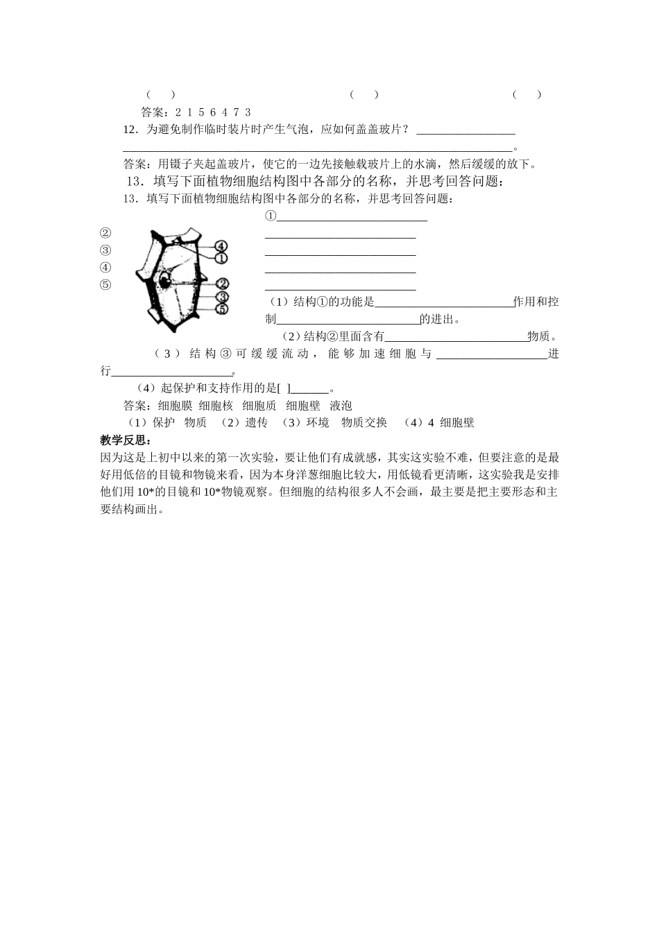 第二节观察植物细胞_第3页