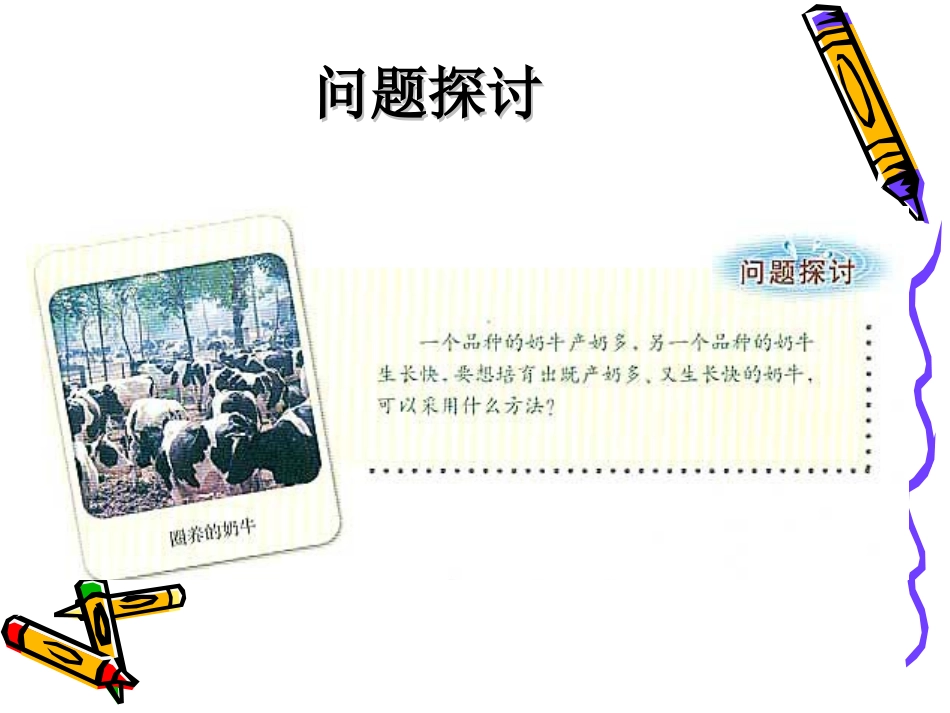 孟德尔的豌豆杂交实验（二）_第3页