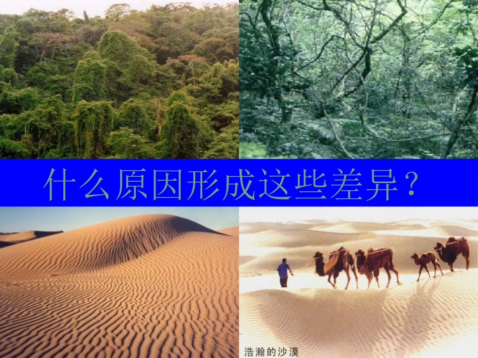 七年级地理上册_第四章第二节气温和降水课件_湘教版乔_第3页