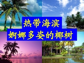 七年级地理上册_第四章第二节气温和降水课件_湘教版乔