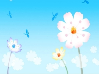 《谁藏起来了》