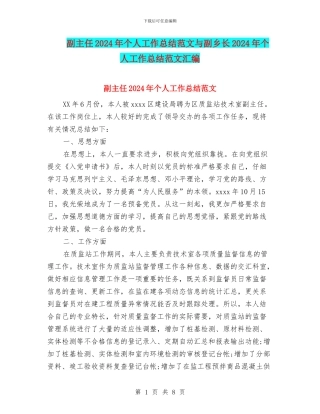 副主任2024年个人工作总结范文与副乡长2024年个人工作总结范文汇编
