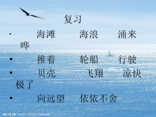 三年级语文到海边去