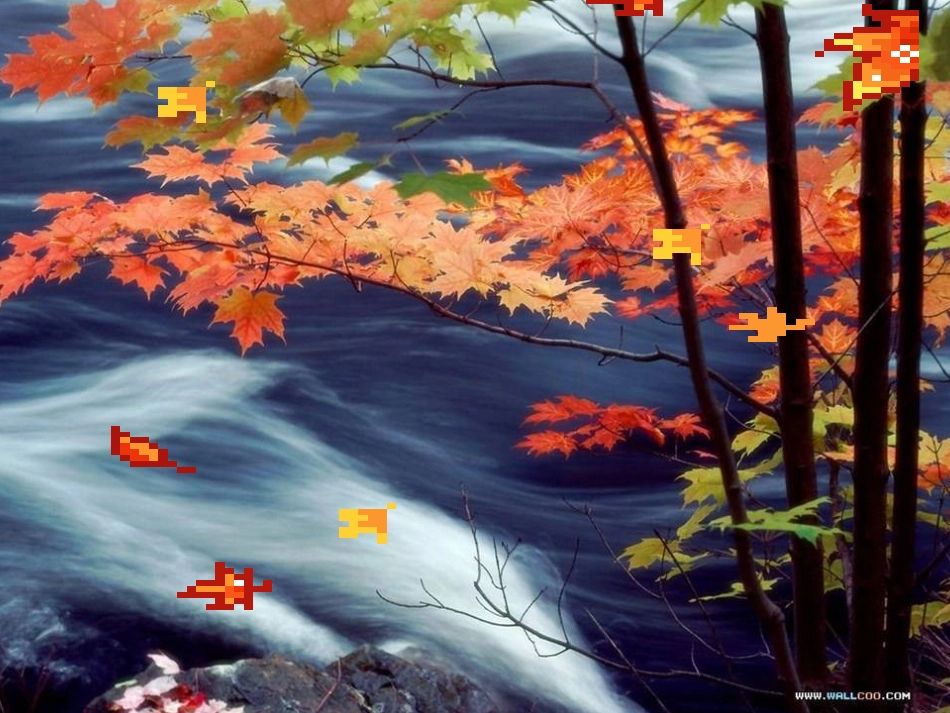 秋天的雨PPT_第2页