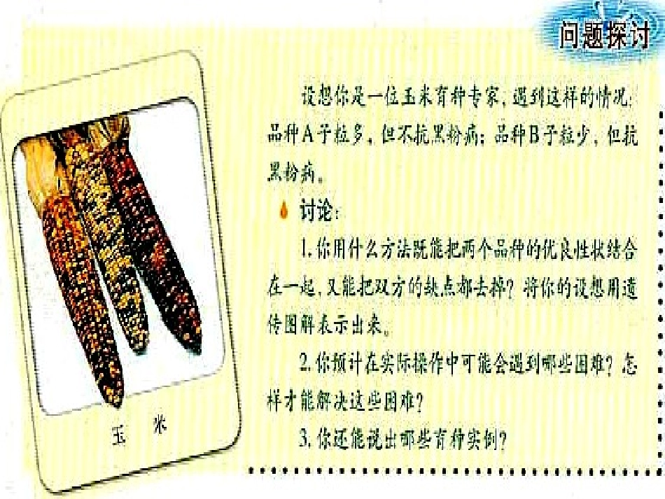 新人教版高一生物下学期杂交育种与诱变育种_第3页