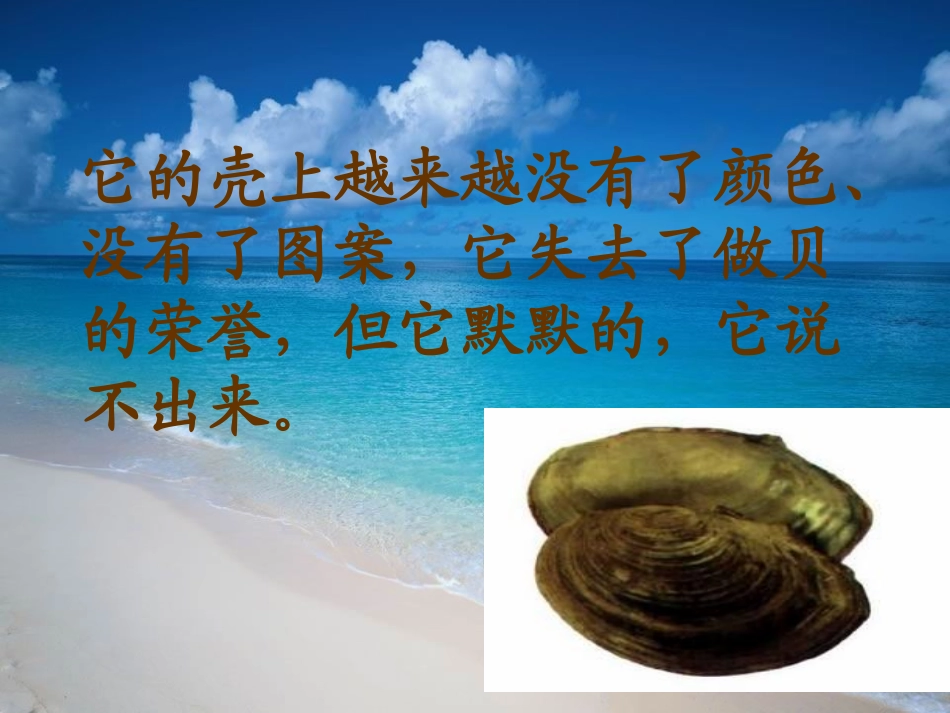 语文S版四年上册第三课《一只贝》_第3页