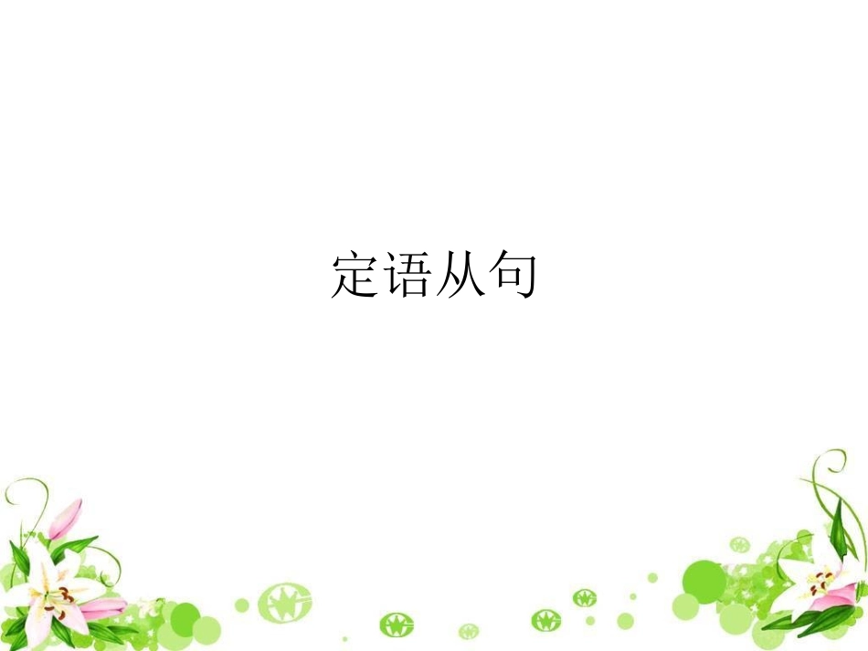 定语从句练习_第1页