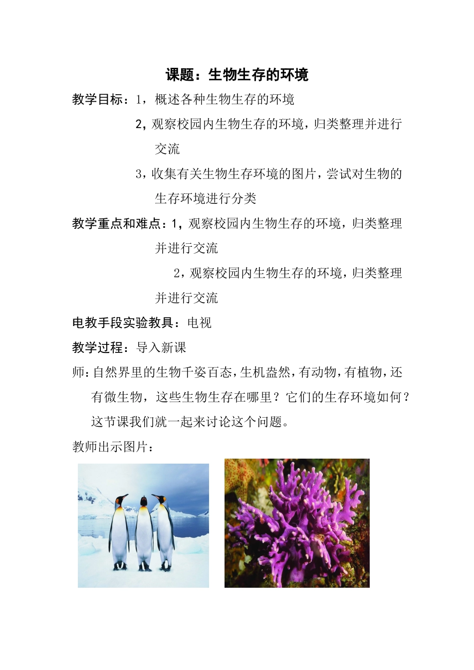 植物生存的环境_第1页