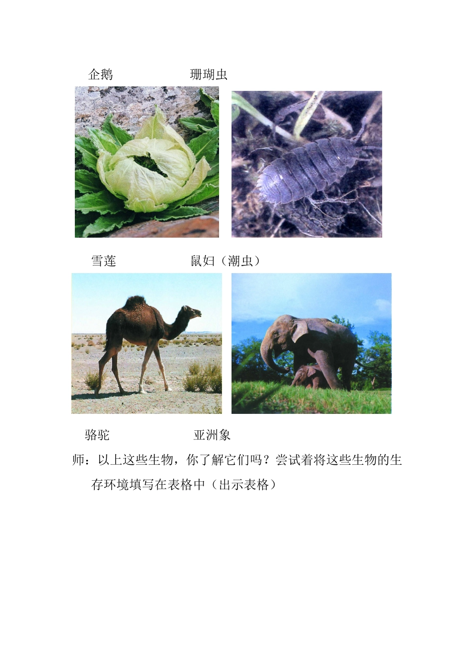 植物生存的环境_第2页