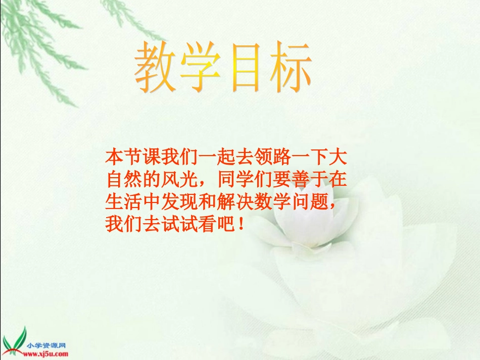 北师大版数学四年级上册《走进大自然》课件_第2页