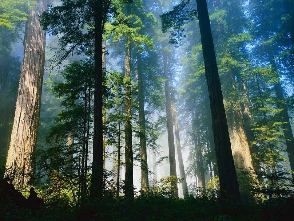 《小熊住山洞》_第一课时_第2页