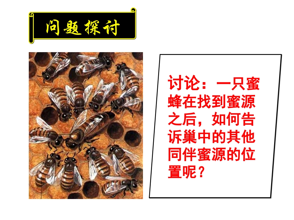 第四节生态系统的信息传递_第2页