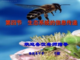 第四节生态系统的信息传递