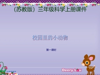 苏教版小学科学三年级上册《校园里的小动物》课件