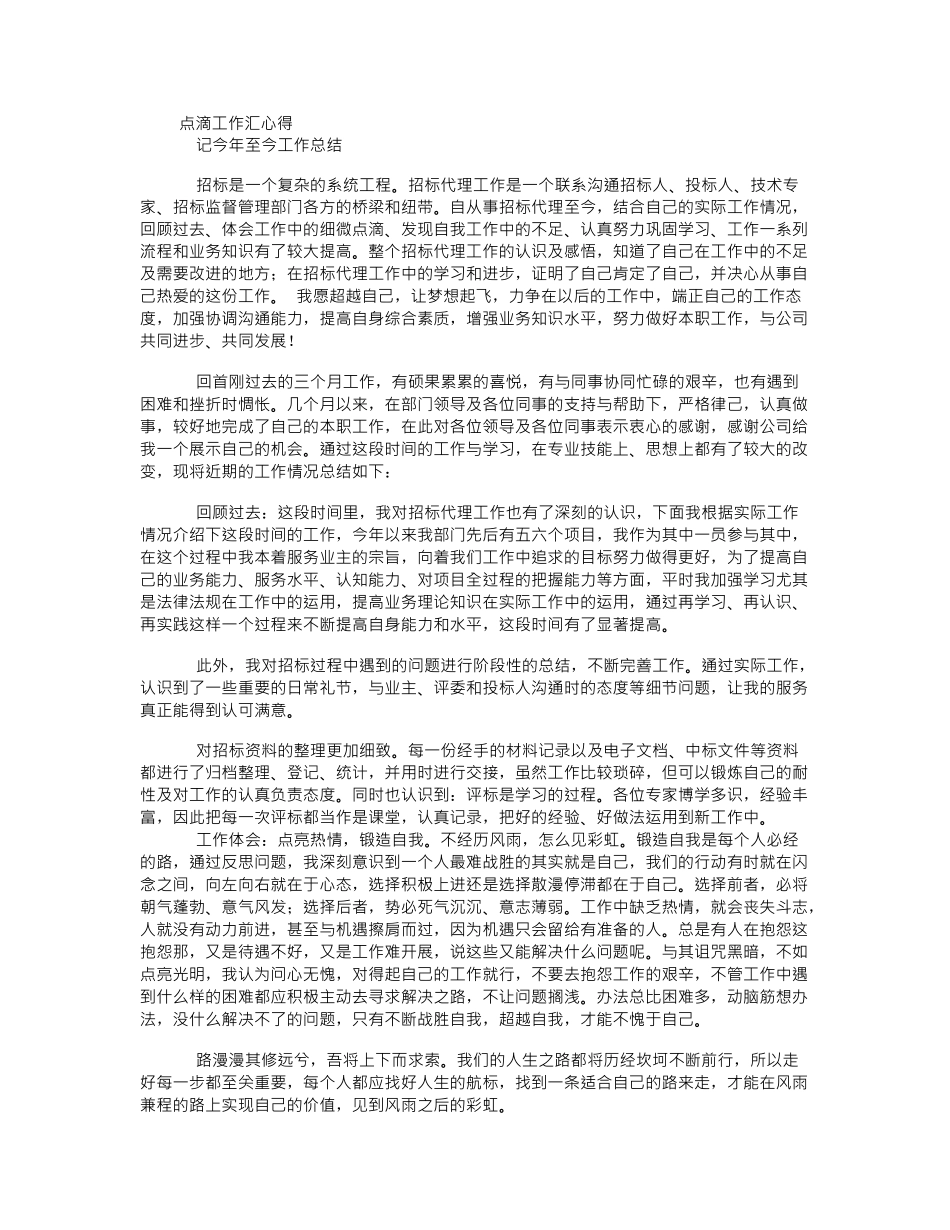 招标代理年终总结_第1页