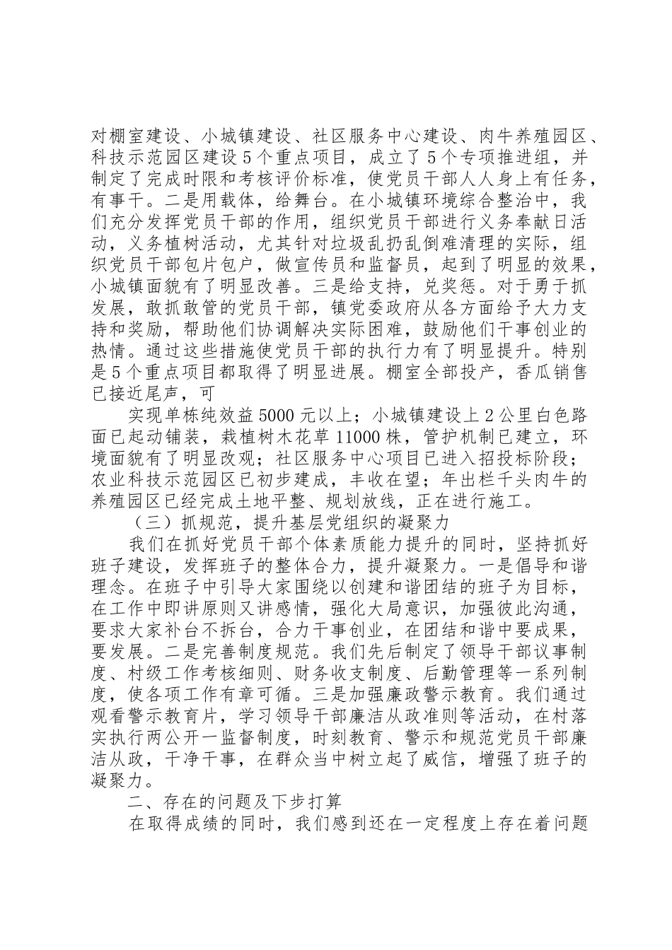 照明村书记抓基层党建工作专项述职报告0_第2页