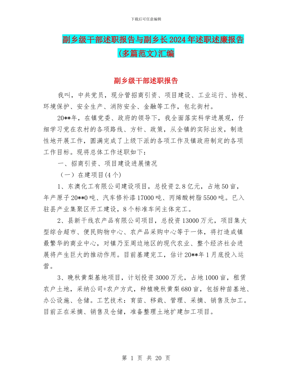 副乡级干部述职报告与副乡长2024年述职述廉报告汇编_第1页