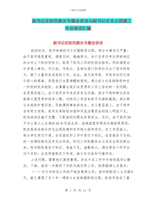 副书记在防汛救灾专题会讲话与副书记在非公团建工作会讲话汇编