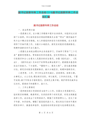 副书记挂职年终工作总结与副书记挂职年终工作总结汇编