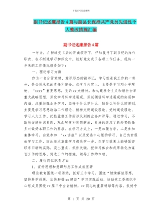 副书记述廉报告4篇与副县长保持共产党员先进性个人整改措施汇编