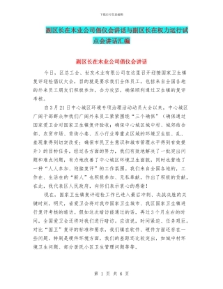 副区长在木业公司倡仪会讲话与副区长在权力运行试点会讲话汇编