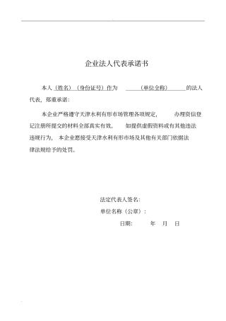 企业法人代表承诺书