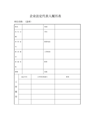 企业法定代表人履历表