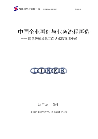 企业流程再造-沈玉龙