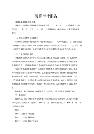 企业清算审计报告