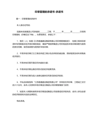 2025年印章管理的承诺书-承诺书