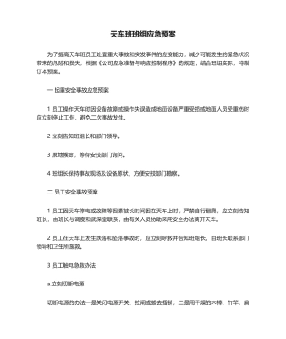 2025年天车班班组应急预案