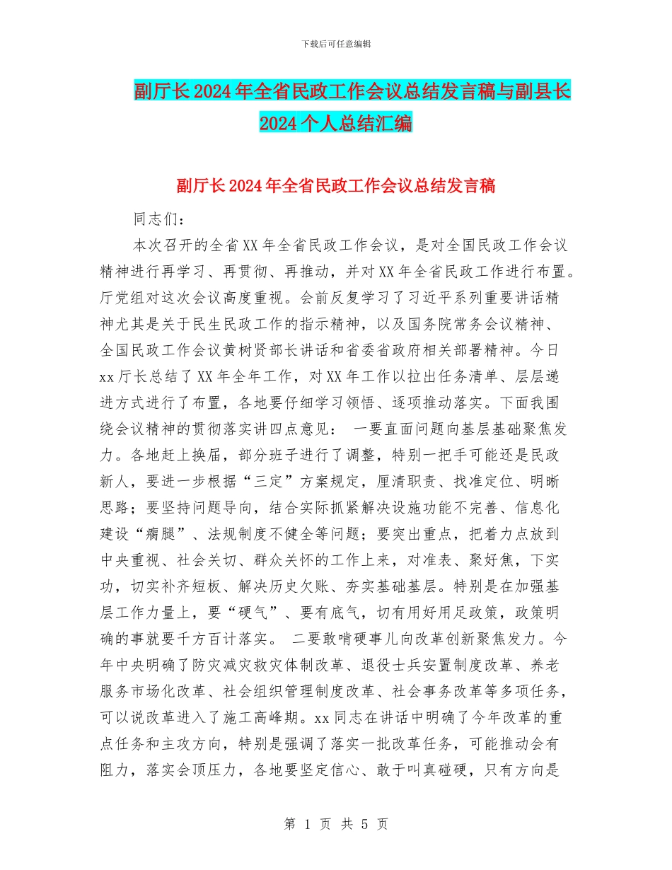 副厅长2024年全省民政工作会议总结发言稿与副县长2024个人总结汇编_第1页